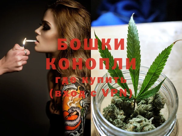 спайс Аркадак