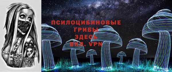 амф Пестово