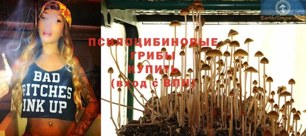мяу мяу мука Армянск
